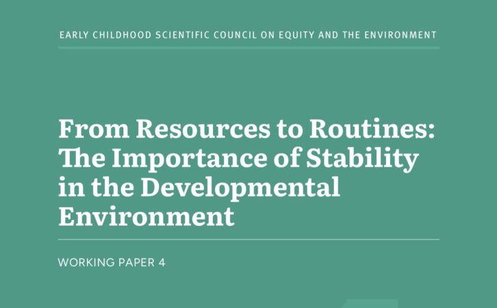 ir a:Nuevo reporte de Harvard destaca la estabilidad como clave en la vida de niñas y niños para su futuro