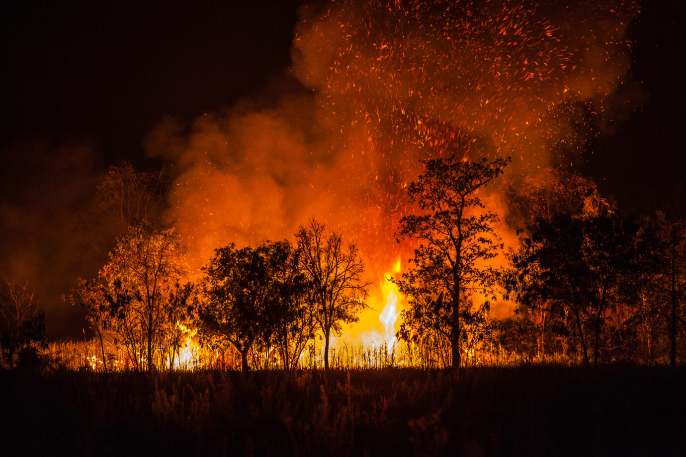 Cómo apoyar a niñas y niños en situación de emergencia por incendios en Ñuble y Biobío