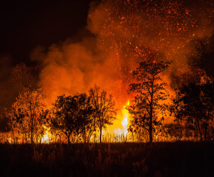Cómo apoyar a niñas y niños en situación de emergencia por incendios en Ñuble y Biobío